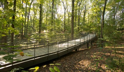 Atlanta Botanical Garden – Storza Woods - Atlanta, GA
